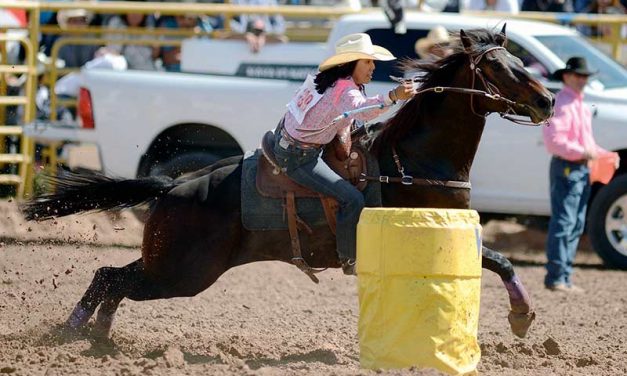 Gilbert cowgirl ropes all-around title