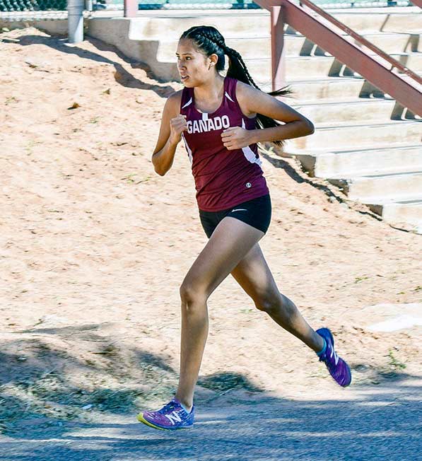 Ganado girls, Page boys take team titles - Navajo Times