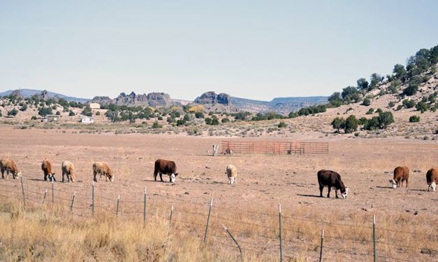 Letters: Ag Dept. does not help ranchers