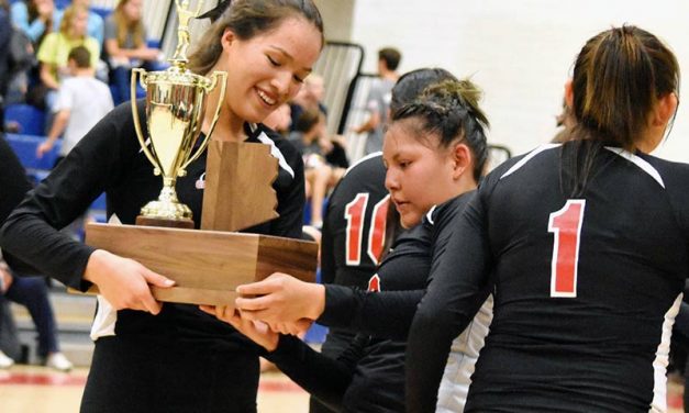St. Michael claims first state volleyball title