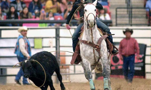 Mexican Springs cowgirl wins world title under pressure