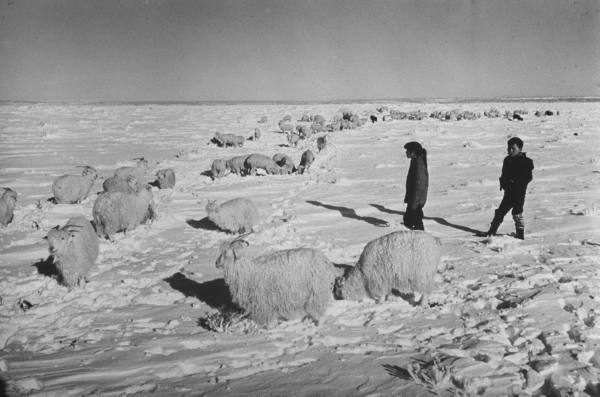 50 years ago:  Worst storm of 20th Century hits rez