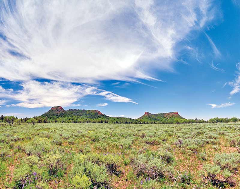 Trump drastically shrinks Bear Ears monument