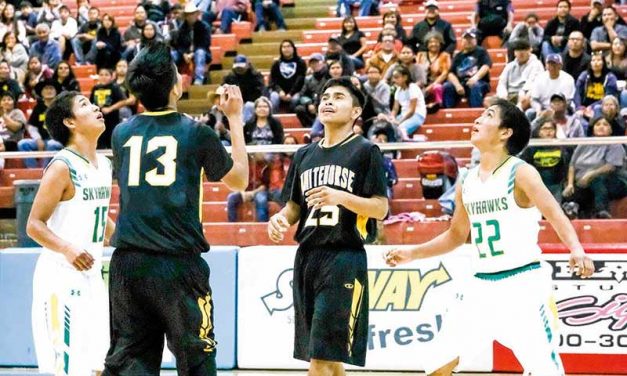 Hoops hero twins