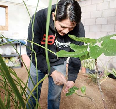 Garden expert wants to create oasis in food desert