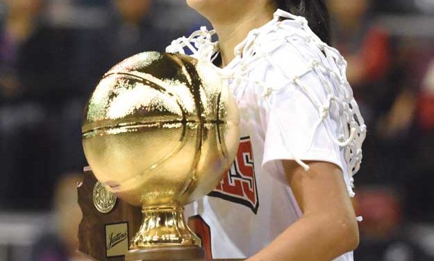 Slideshow: Arizona High School Basketball Semifinals and Championships