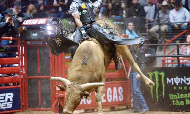 Whitehorse seeks another ‘good memory’ at PBR