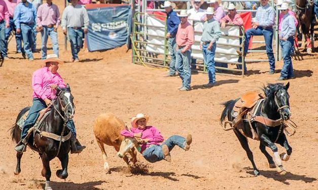 Local cowboys/cowgirls taking aim at nationals