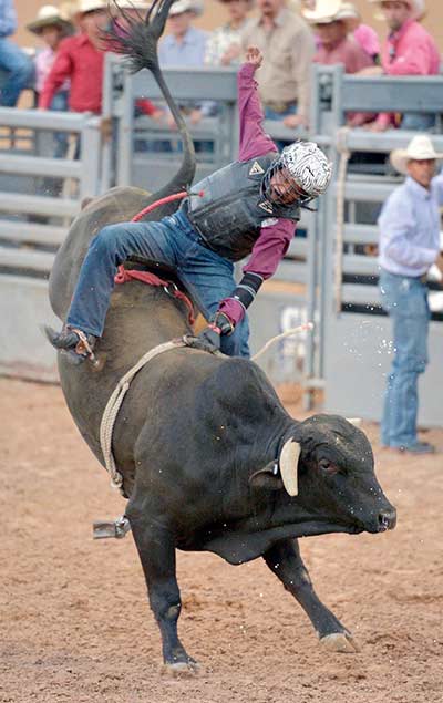 Successful season captures state title for Rehoboth bull rider - Navajo ...
