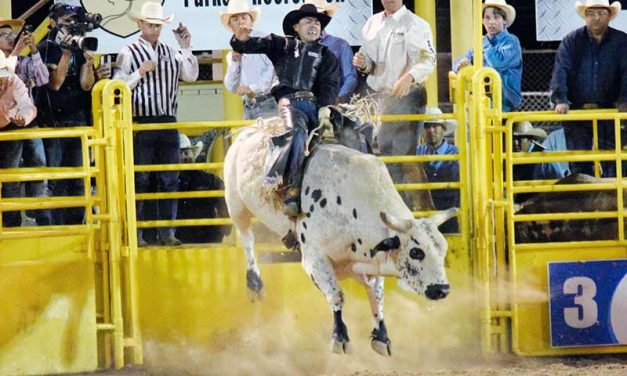 Locals master the bulls at Window Rock, set lofty goals