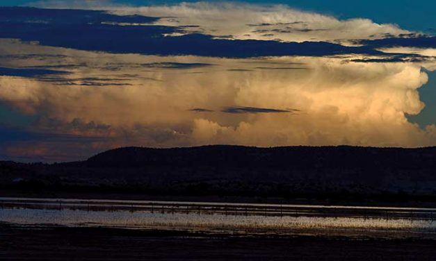 Slideshow: Monsoon Mudness