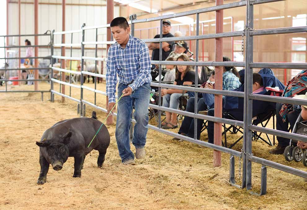 SLIDESHOW Ramah Navajo Fair Navajo Times