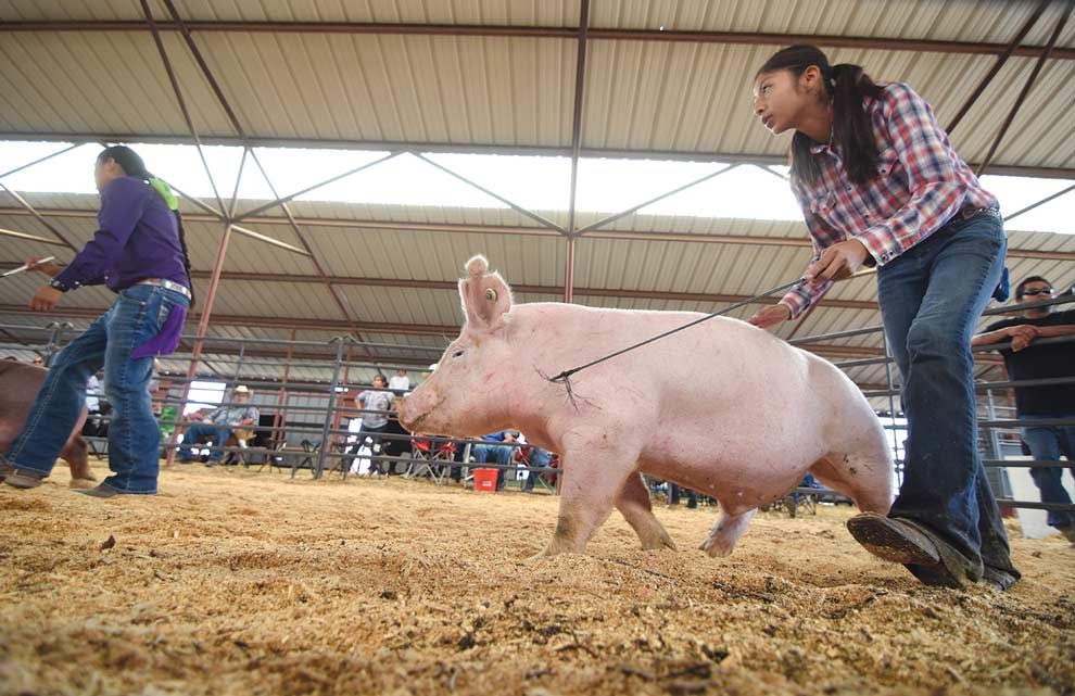 SLIDESHOW Ramah Navajo Fair Navajo Times