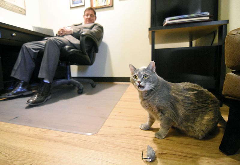 Mouse catcher finds a home in speaker’s office