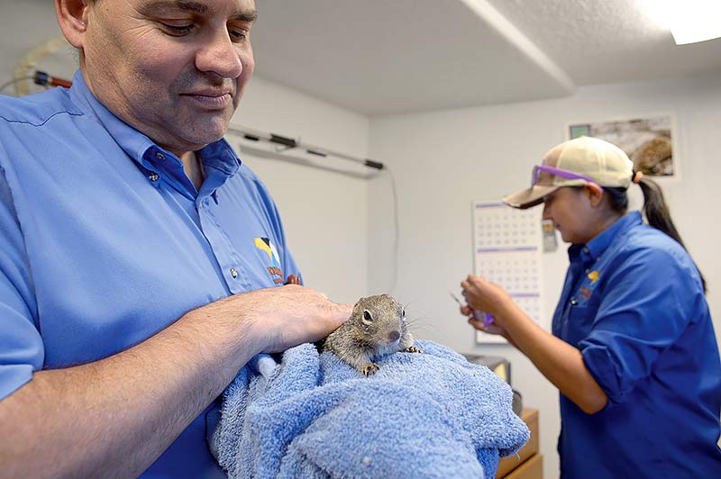 Navajo Nation Zoo works to improve, add-on