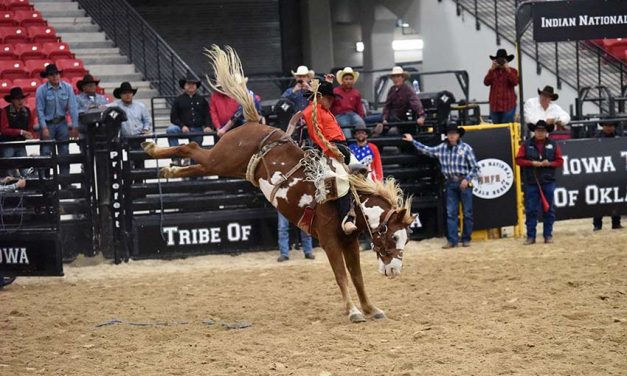 Curley seizes average lead in saddle bronc
