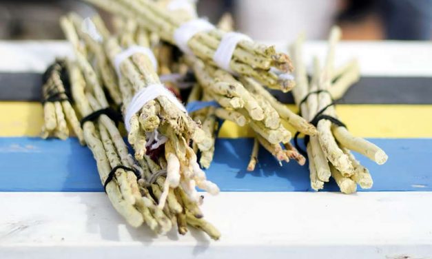 Boys thrive with school’s hands-on learning