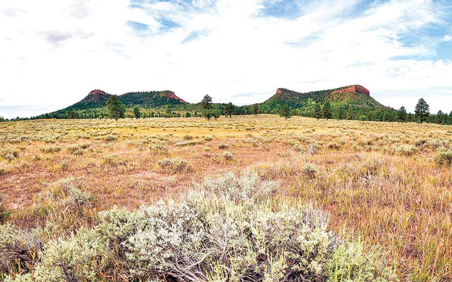 Film festival marks date of Bears Ears reduction