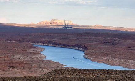 NGS owners: Decommissioning moving forward