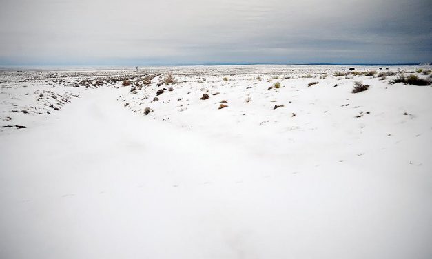 Shutdown slows work, but services remain