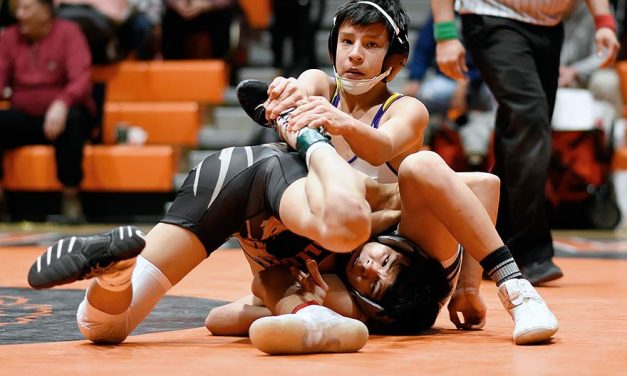 Area wrestlers have big plans for state