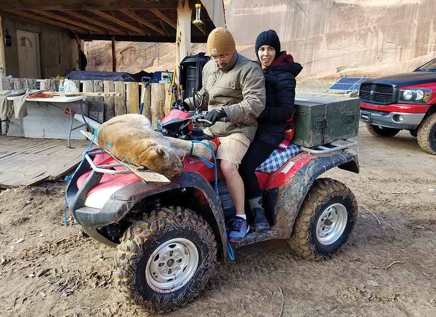 Family kills 3 cougars in Canyon de Chelly