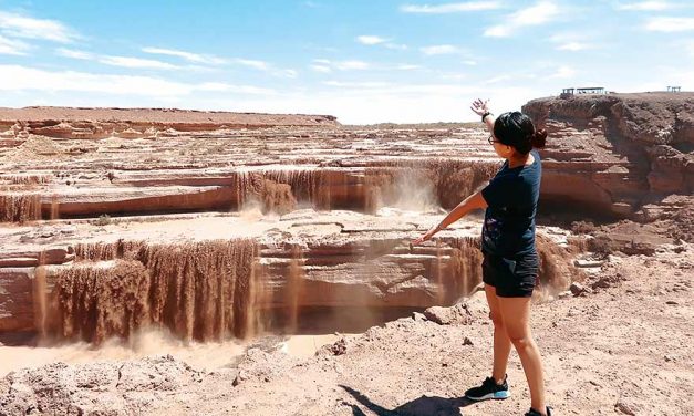 A new kind of famous