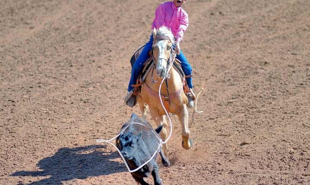 2nd loop lands roper share of state title
