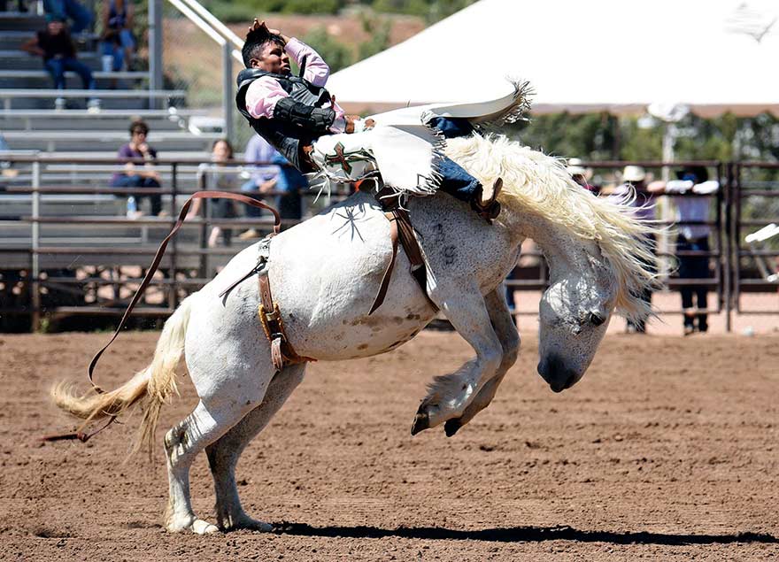 ‘An amazing feeling’:  3 Diné cowboys win Ariz. state high-school championships