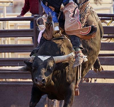 Bull riders lead locals at high school finals