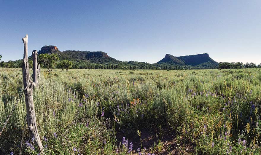 Haaland welcomed ‘home’ to Bears Ears