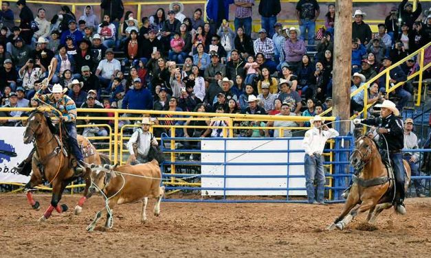 Travelin’ man:  Erich Rogers chasing team-roping world title