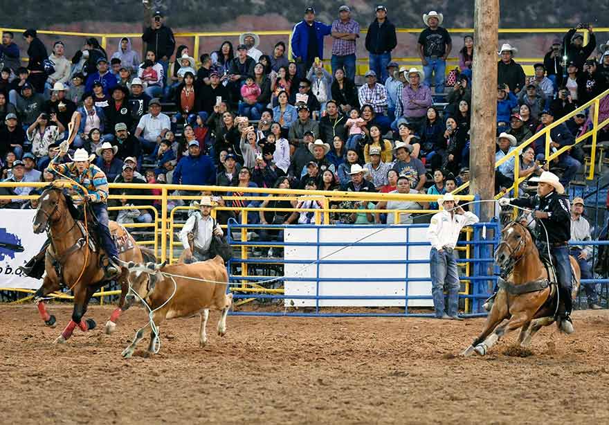 Travelin’ man:  Erich Rogers chasing team-roping world title