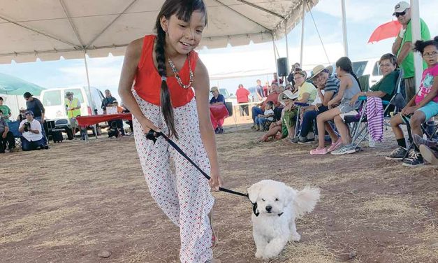 Dog show lets people show off their pets