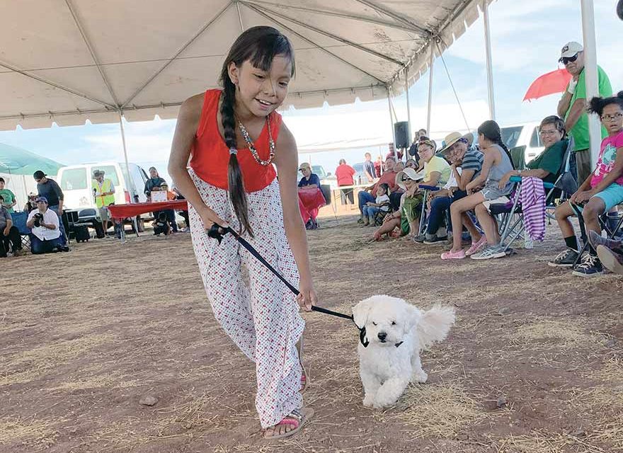 Dog show lets people show off their pets