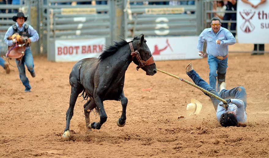 Novice NTUA team electrifies crowd at wild horse race - Navajo Times