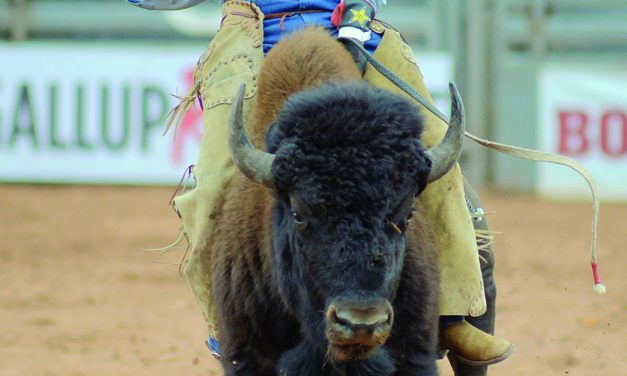 Baited into buffalo ride, Begay takes the purse