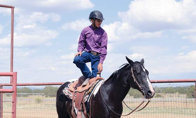 Young horseman spent a year working with his animal