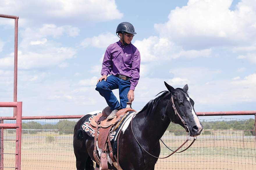 Young horseman spent a year working with his animal