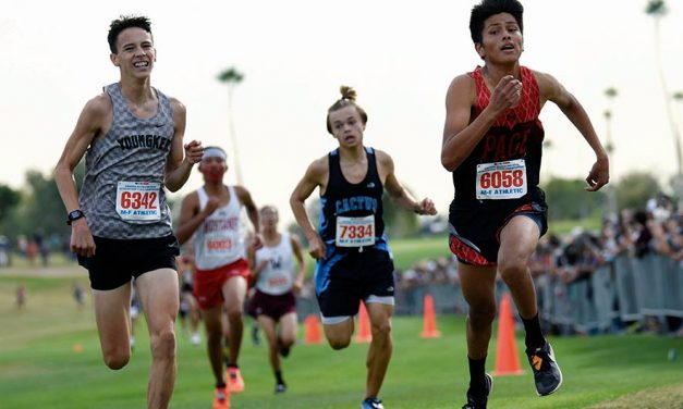 Page boys stretch state title streak to 6