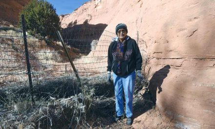 Elder reclaims grazing land, with a little help
