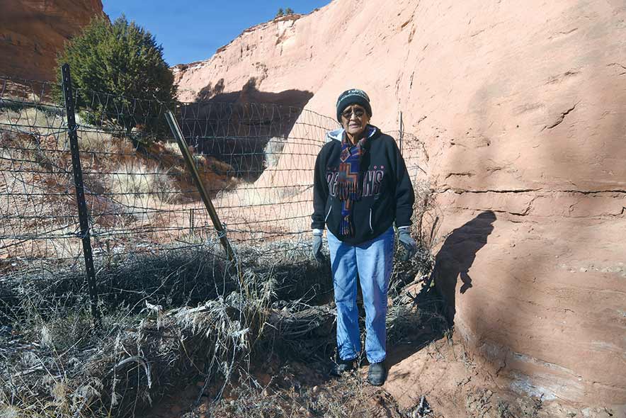 Elder reclaims grazing land, with a little help