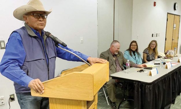 Mine, plant workers plea for jobs at PRC hearing