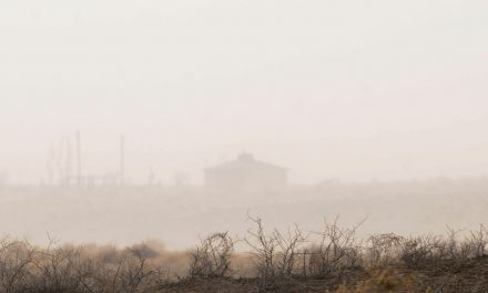 Severe windstorms sweeps across Arizona, New Mexico, intensifying drought conditions