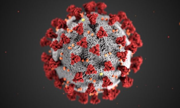 First Diné tests positive for coronavirus