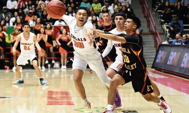 Gallup boys miss fans, lose in semifinal
