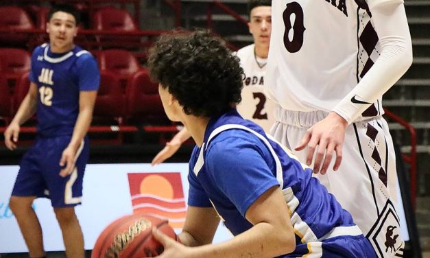 Magdalena dominates Jal to reach 2A title game:  Steers to play top-seed Pecos for blue trophy