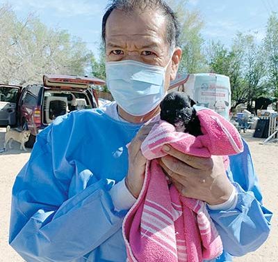 Rez dog rescuer up for international ‘Unsung Hero’ award