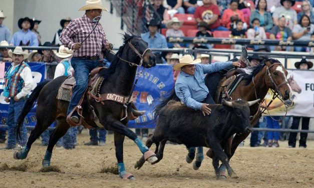 NNRA to move forward with 2020 season