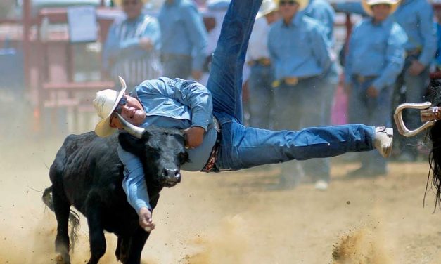 NNRA weighing options: Survey to determine fate on 2020 season